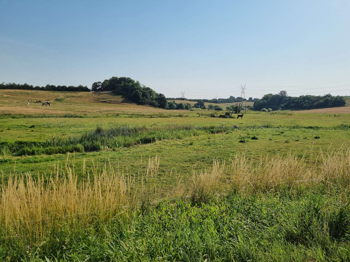 Udsigt over Kørup Enge
